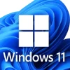 Windows 11 Icon