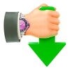 Internet Download Accelerator Icon