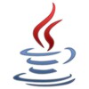 Java 2 Runtime Environment Icon