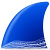 Wireshark Icon