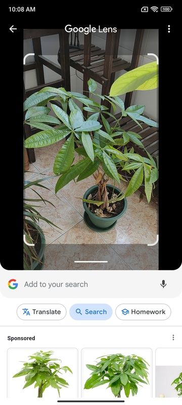 تطبيق Google Lens - لقطة شاشة 2